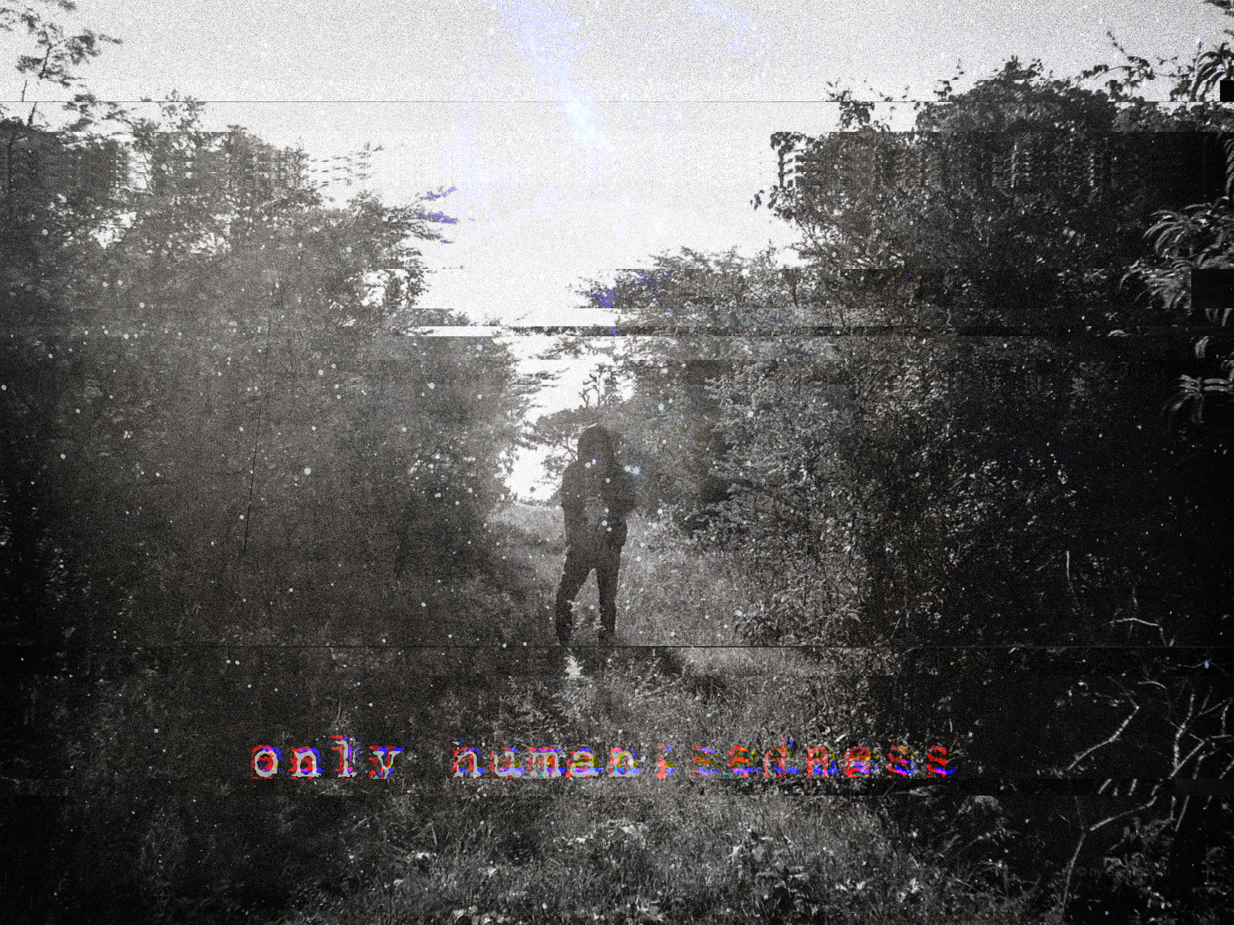 <img alt="" src="/images/b/a/a/d/8/baad8196167ba78cc7182c345a401bbaad1271d1-human.jpg?name&amp;g-1a755c70" />