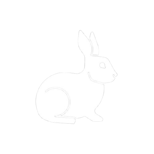 white-rabbit
